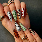 Safari Luxe