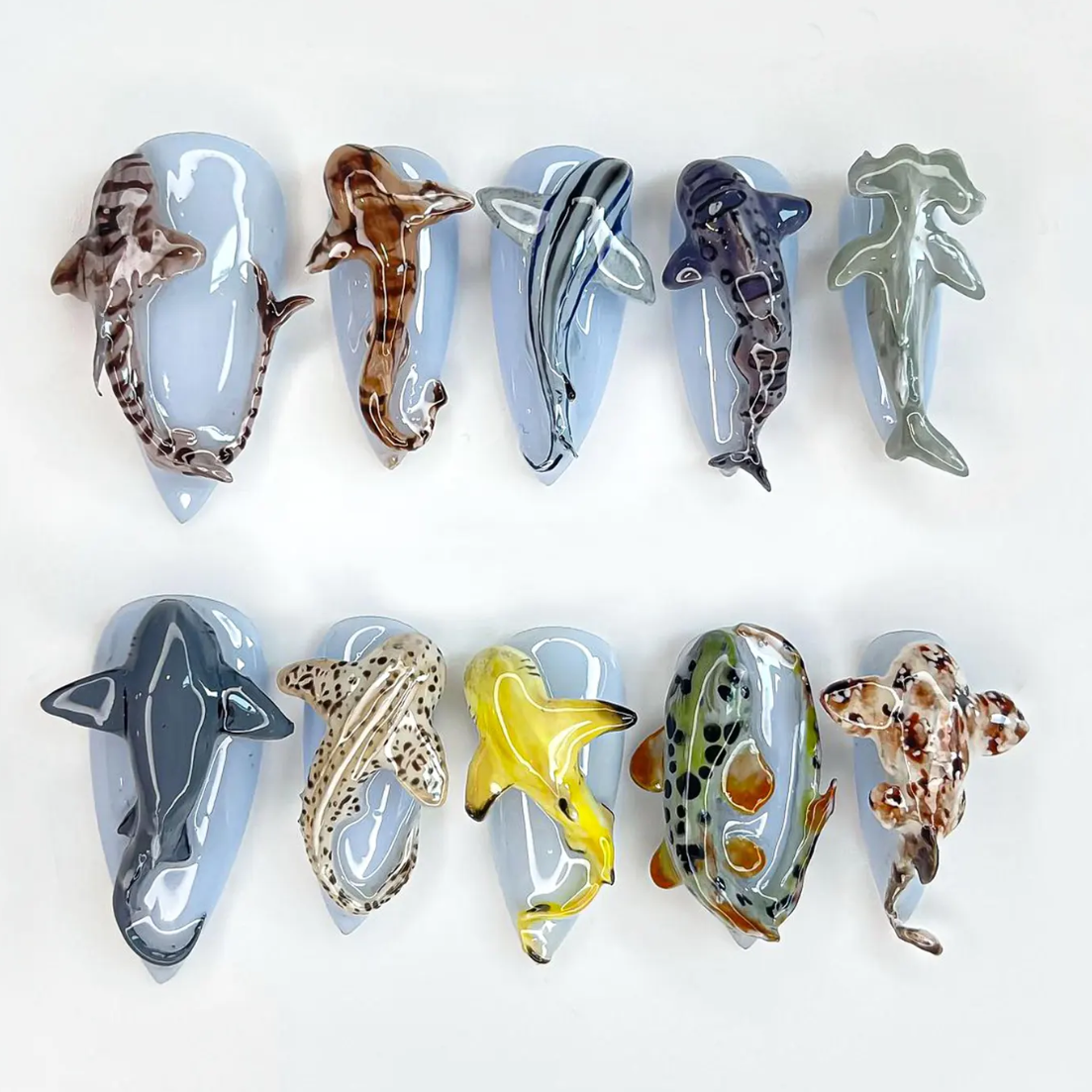 Shark Ocean