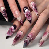 Orchid Elegance
