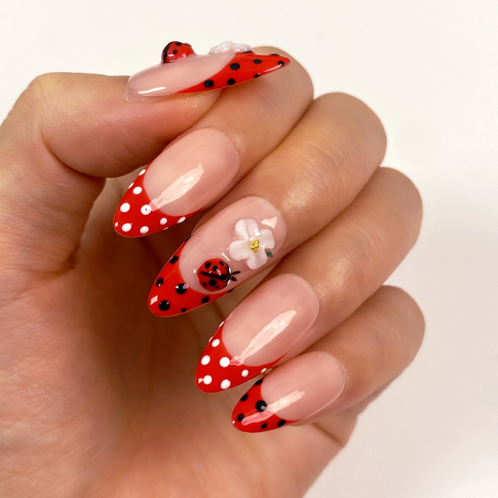 Ladybug Bloom