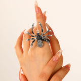 Spider Veil Earrings, Bracelet & Necklace
