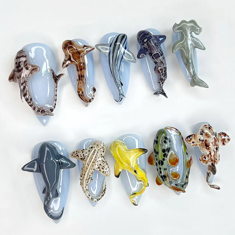 Shark Ocean