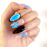 Blue Zebra