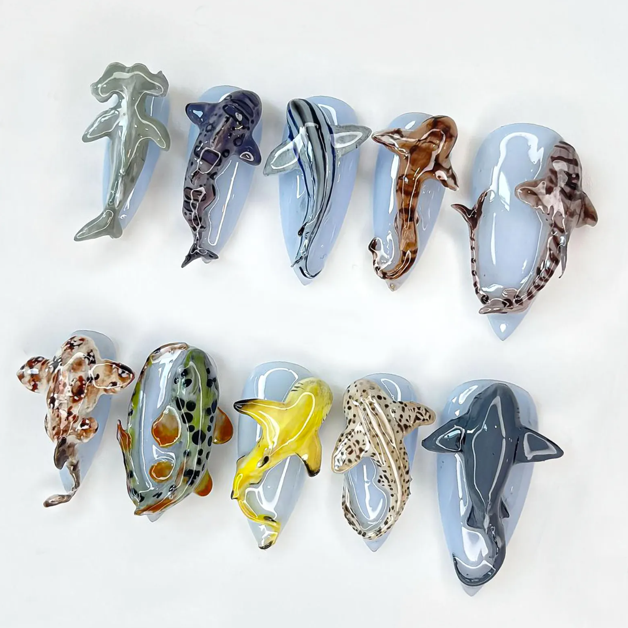 Shark Ocean